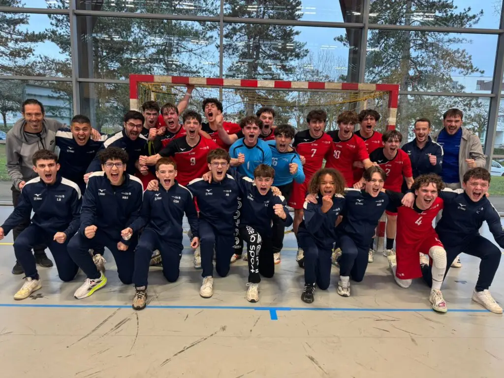 section sportive handball chalon sur saone COMITE 71