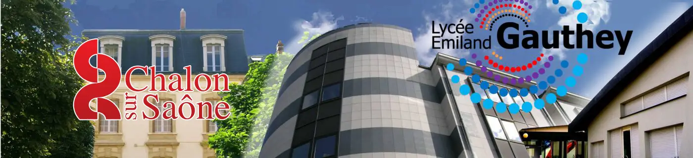 section sportive handball Chalon sur Saône double projet sport études